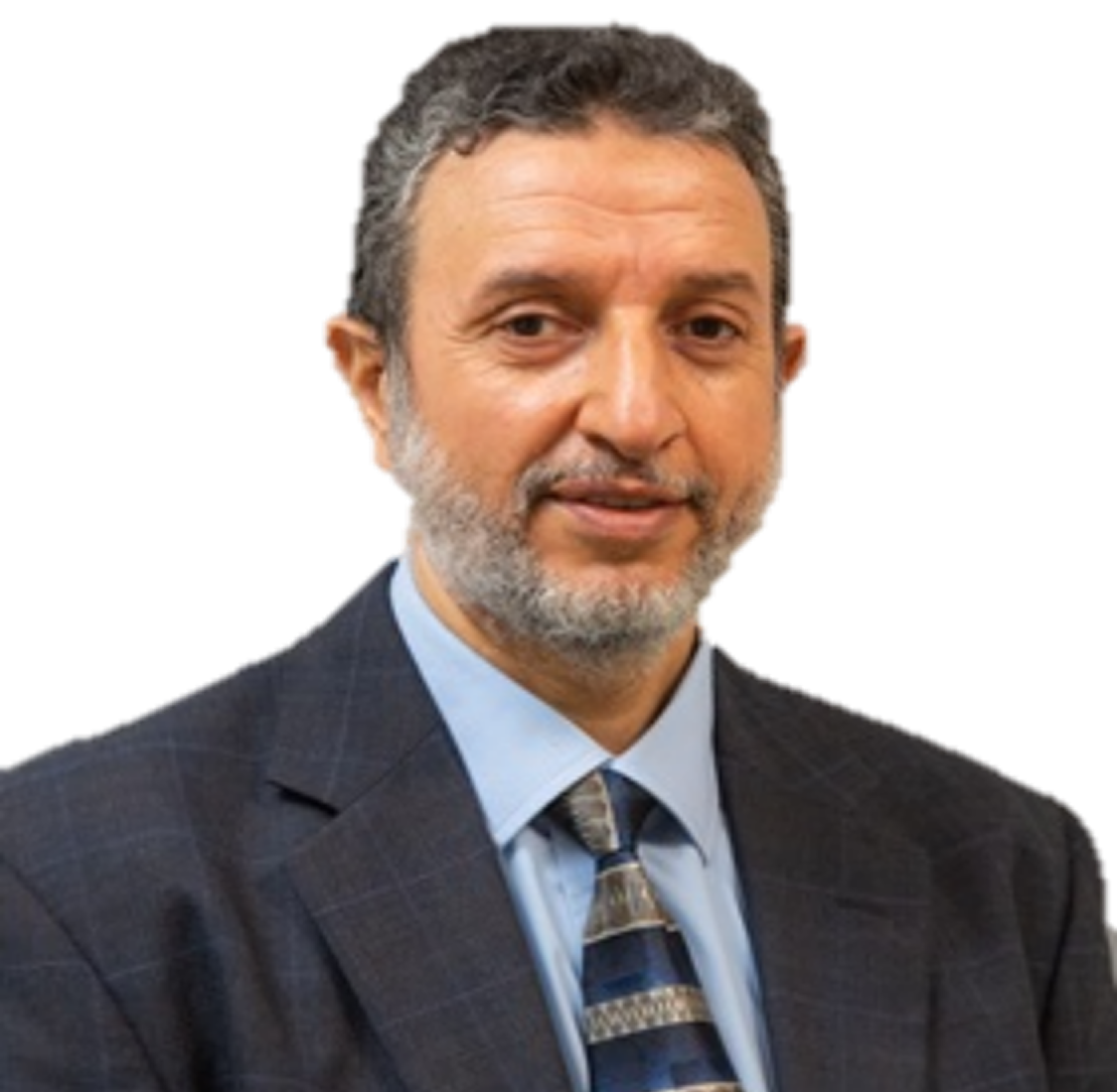 Professor Tarek Zayed
